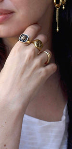 טבעת חותם ליאון